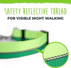 Mighty Paw Martingale Dog Collar 2.0 | Trainer Approved Limited Slip Collar with Stainless Steel Chain & Heavy Duty Buckle - Modified Cinch for Gentle & Effective Pet Training - S/M, Green