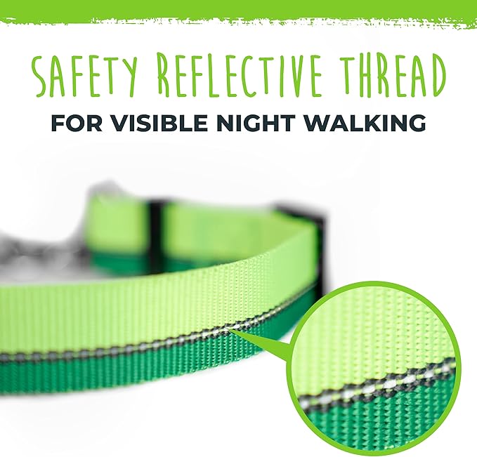 Mighty Paw Martingale Dog Collar 2.0 | Trainer Approved Limited Slip Collar with Stainless Steel Chain & Heavy Duty Buckle - Modified Cinch for Gentle & Effective Pet Training - Large, Green
