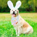ADOGGYGO Easter Dog Bandana, Carrot Rabbit Pet Scarf, Premium Durable Fabric, Easter Bandanas for Extra Large Dogs Pets (X-Large)