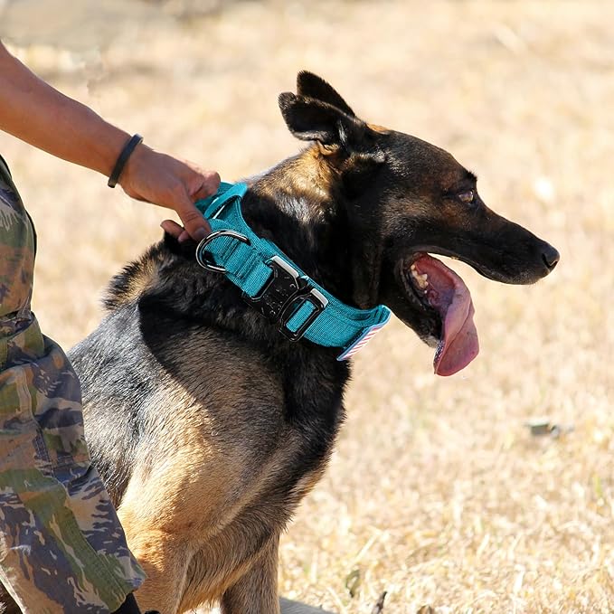 Tactical Dog Collar Military Dog Collar Adjustable Nylon Dog Collar Heavy Duty Metal Buckle with Handle for Dog Training,with Patches(Light Blue 1, M), Medium