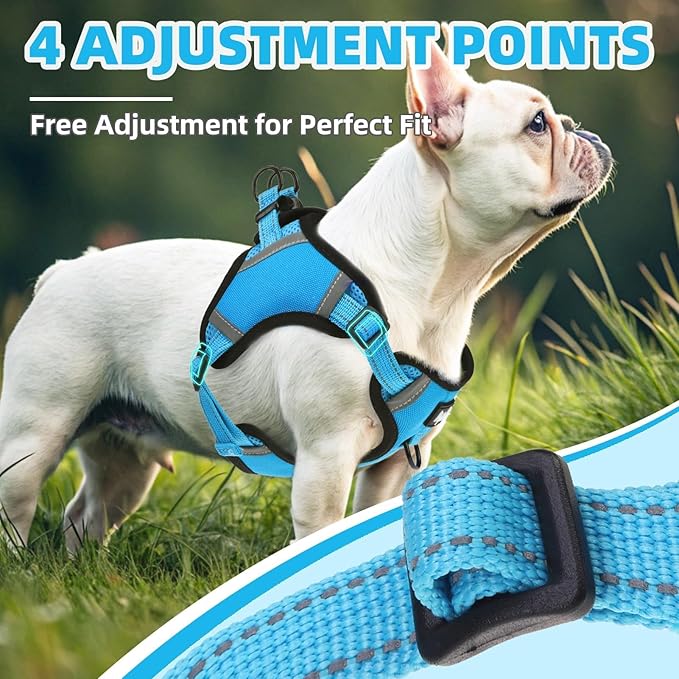 PUPTECK No Pull Dog Harness Small Sized Dog, Adjustable Reflective Escape Proof Easy Control, Comfortable Soft Padded Step in Pet Vest Harness, Blue, S