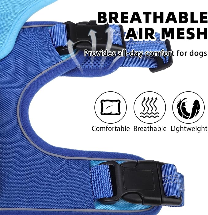 PUPTECK Escape Proof Dog Harness and Leash Set Upgraded No Pull Reflective Dog Vest with Lift Handle, Easy Control Pet Harness for Medium Large Dogs Training Walking Running, Blue, L