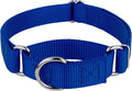 Country Brook Petz - Martingale Dog Collar - Heavy-Duty Training Collar with No Buckle - Service Dog Collar for All Pups - 10+ Cool Colors (Royal Blue, 1 Inch, Extra Large)