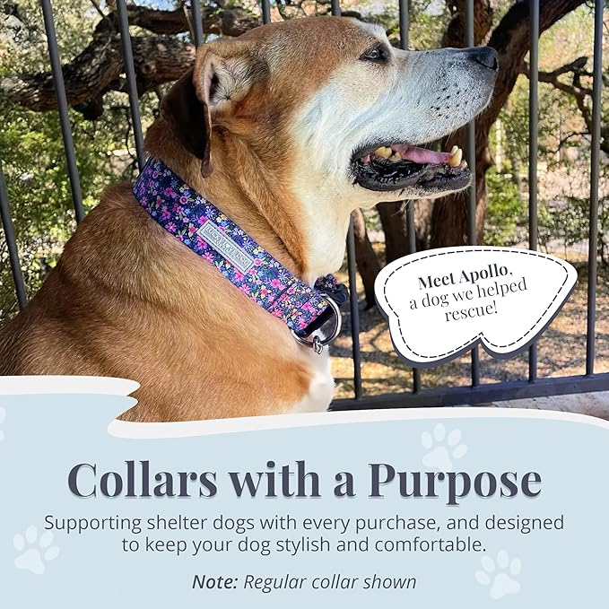Lucky Love Dog Wide Martingale Dog Collar - No-Slip, Durable, & Soft Webbing 1.5 inch Martingale Collar for Dogs Male and Female Ideal for Training & Walking - Caroline, Large