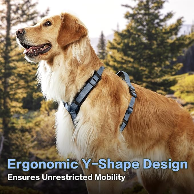 PawsPassion Dog Harness for Large Dogs, No Pull Dog Harness Easy Walk with Metal Hardware, Ergonomic Y-Shaped Design, Soft Padding, Padded Handle, Durable High-Tensile Nylon (Horizon, L)