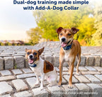 PetSafe 300 Yard Remote Training Collar – Choose from Tone, Vibration, or 15 Levels of Static Stimulation – Medium Range Option for Training Off Leash Dogs – Waterproof and Durable – Rechargeable