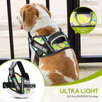 Service Dog Vest Harness and Leash Set, Animire in Training Dog Harness with 10 Dog Patches, Reflective Dog Leash with Soft Padded Handle for Small, Medium, Large, and Extra-Large Dogs