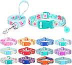 Dog Collar with Leash Airtag Holder Case Set - Dog Collars for Male Female Boy Girl Puppy X-Small Small Medium Large Dogs Walking Running Training - Verdure Daisy/XS