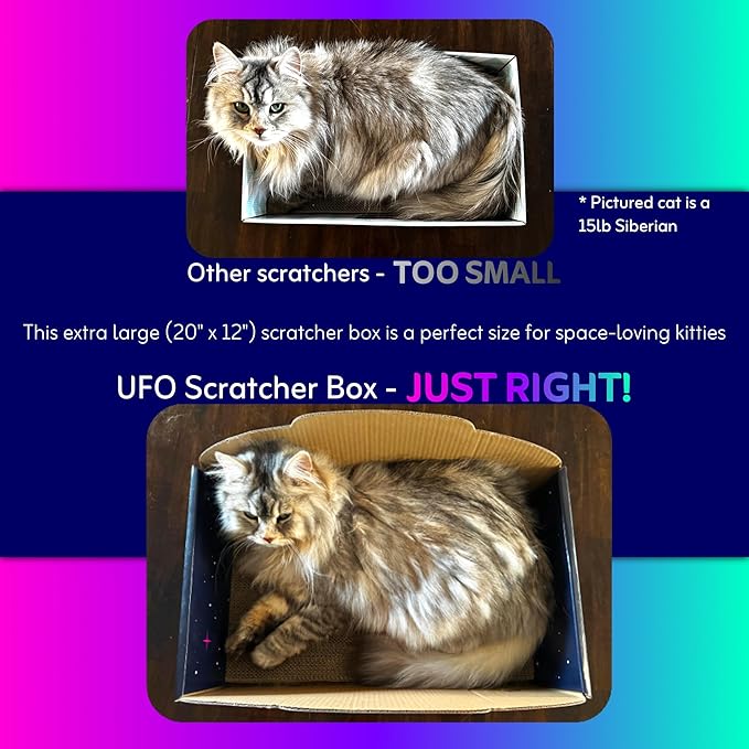 UFO Cat Scratcher Box for Indoor Cats, Extra Large 20" Cardboard Scratcher House with Reversible Pad, Enclosed Cat Lounge for Large Cats, 20 x 12 x 6 in