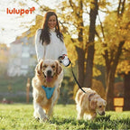 3 in 1 No Pull Dog Harness Leash and Collar Set, Soft Adjustable Dogs Vest Reflective and Comfortable Handle Blue Medium