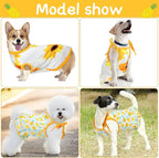 Frienda 4 Pieces Dog Clothes Set Include 2 Pcs Cute Pet Dress Lovely Dog Dress and 2 Pcs Breathable Pet T Shirt Puppy Clothes(Pineapple, Sunflower,Medium)