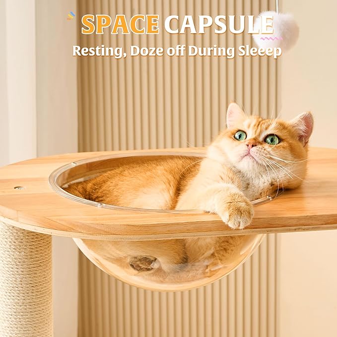 HITTITE Solid Wood Cat Tree Tower with Scratching Post, 53 Inches Tall Cat Towers with Scratching Board and Scratcher Ball, Modern Cat Tower with Space Capsule and Removable Top Bed for Indoor Cats