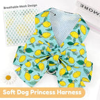 BAEJMJK Dog Harness and Leash Set with Bow Knot No Pull Pet Daisy Floral Harness with D-Ring Soft Mesh Dog Harness Vest Set Escape Proof Princess Puppy Harness for Small Girl Dogs Cats（Green M）