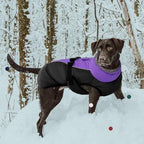 IECOii Extra Warm Dog Coat - Reflective, Adjustable Jacket with Buckle & Fleece Turtleneck for Small to Extra Large Dogs in Cold Weather
