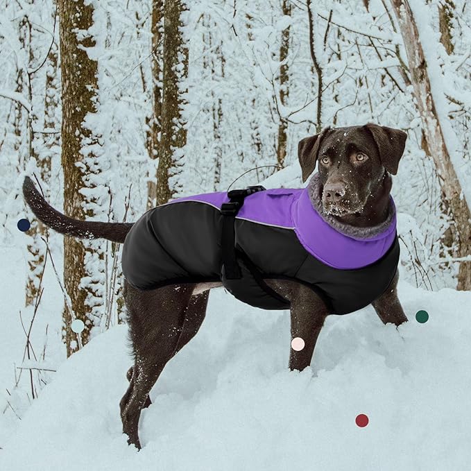 IECOii Extra Warm Dog Coat - Reflective Adjustable Dog Jacket with Buckle Fleece Turtleneck for Cold Weather - Soft Winter Coat for Small, Medium, Extra Large Dogs