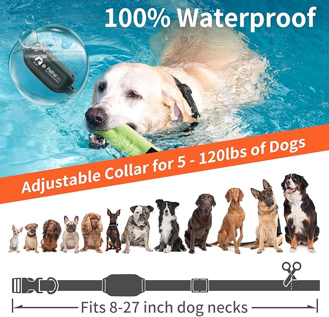 PaiPaitek No Shock Dog Training Collar for 3 Dogs, 9 Levels Vibration & Beep, Waterproof Vibrating Dog Collar with Remote 3300ft, Buzz Collar for Small Medium Large Dogs 5-120 lbs - No Prongs