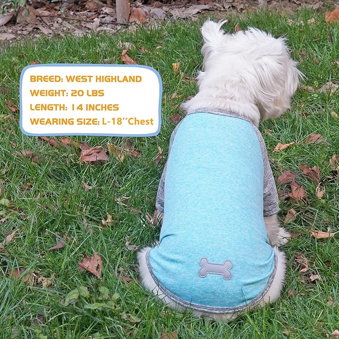 KYEESE 2Pack Dog Shirt with Sleeves, Lightweight Sun Protection Dog T Shirts for Small Dogs Boy, Breathable Pet Tank Top Reflective Dogs Clothes for Summer Outdoor Walking, Grey+Lake, L
