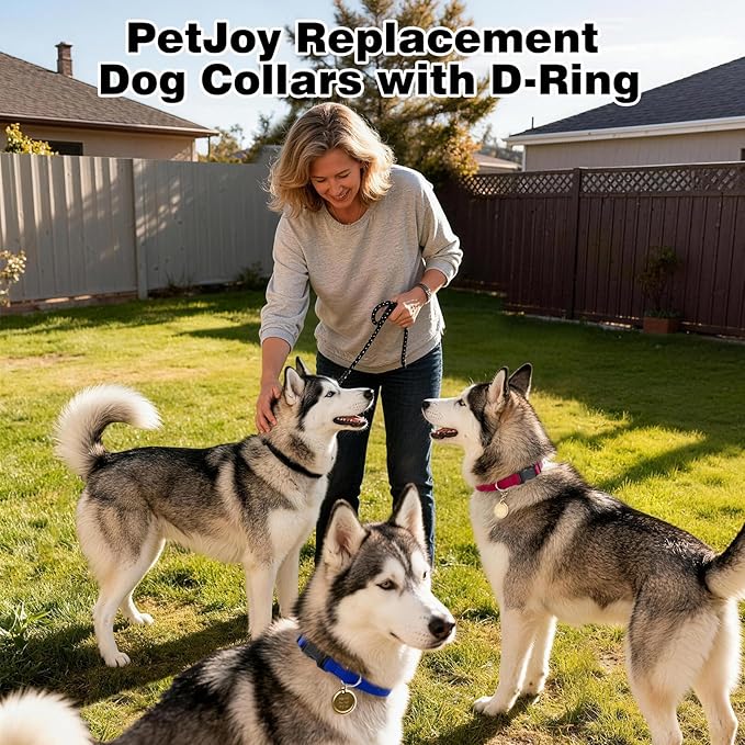 PetJoy Shock Collar Replacement Strap, Dog Replacement Collar with D-Ring, 2 Pack Adjustable Nylon Dog Collar Strap, Pet Safe & Durable for Training Collars