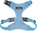 Voyager Step-in Pet Harness - All Weather Mesh, Adjustable Step in Harness for Cats and Dogs by Best Pet Supplies - Baby Blue, L