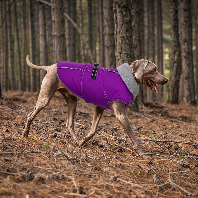 Lelepet Warm Dog Winter Coats for Large Dogs Waterproof Dog Jacket Reflective Pet Fleece Vest Windproof Cold Weather Coats with Adjustable Buckle & Leash Hole, Purple, XL