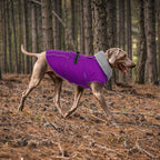 Lelepet Warm Dog Winter Coats for Large Dogs Waterproof Dog Jacket Reflective Pet Fleece Vest Windproof Cold Weather Coats with Adjustable Buckle & Leash Hole, Purple, XXL