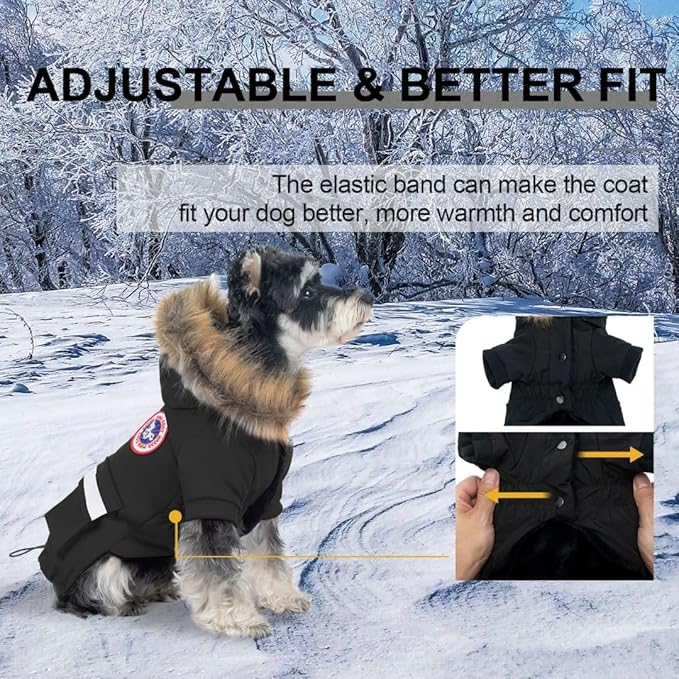 PINA Small Dog Coats - Waterproof, Winter, Snow Jacket with Faux Fur Hood & Pocket