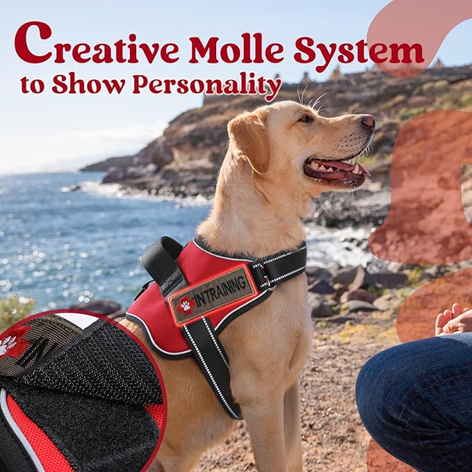 rabbitgoo Dog Harness for Large Dogs, No Pull No Choke Pet Vest, Easy Wearing with One Buckle, Reflective, Adjustable Pet Harness with Molle for Walking, Training, Red, L