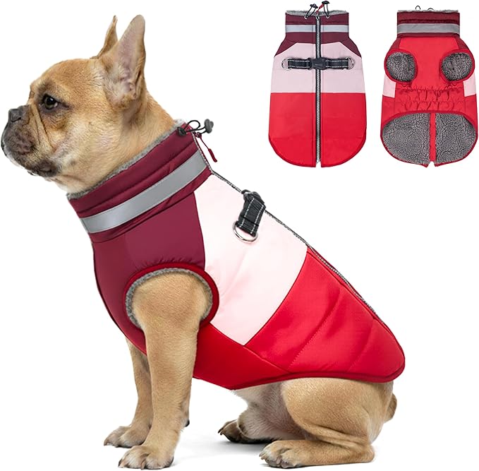 azuza Dog Jacket for Small Dogs Waterproof Dog Coat with Reflective Strips and Harness Built in Warm Fleece Dogs Winter Coat Windproof with Back Zipper, Red L