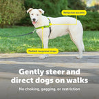 PetSafe Deluxe Easy Walk Harness - Trainer-Trusted Dog Chest Harness with Breathable Martingale Loop Design - Helps Stop Pulling with No Choking & Gagging - Medium/Large - Apple