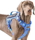 Heavy Duty Dog Harness for Large Dogs No Pull Adjustable Vest Harness with Handle Reflective K9 Military Service Puppy Vest for Walking Hiking Training, Blue Ethnic, XL