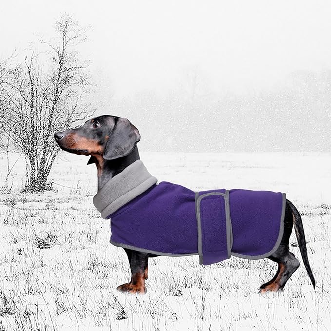Geyecete Dachshund Sweaters for Dogs Jacket,Dachshund Coat Perfect Dog Winter Coat with Padded Fleece Lining,high Collar,Dog Snowsuit-Purple-S