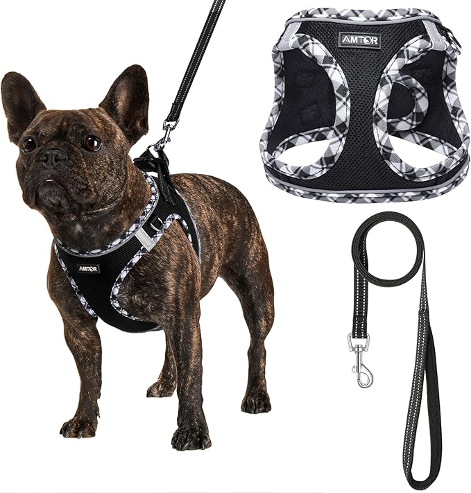AMTOR Small Dog Harness with Leash Set, No Escape Easy Walk Puppy Harnesses for Training Walking, Step-in Reflective Soft Dogs Vest for XS S Medium Extra-Small Large Sized Dog(Blackwhite,L)