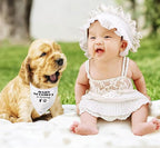 Realeaf Baby Security in Training Dog Bandanas Pet Scarf for Medium and Large Dogs Pregnancy Announcement Pet Accessories Pregnancy Reveal Ideas(Baby Security in Training, Large)