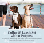Lucky Love Dog - Easy Click Buckle Dog Collar with Leash Set Combo, Durable & Comfortable for Male & Female Dogs, Pet Collar for Large Dogs, Secure Fit - Blackbird Combo, Large