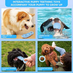 Puppy Toys, 9 Pack Dog Chew Toys for Puppy, Cute Blue Small Dog Toys, Teething Toys for Puppies, Soft Durable Interactive Chew Toy for Small Dogs