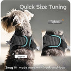 Eagloo Small Dog Harness and Leash Set, Step in Puppy Vest with Breathable Soft Mesh, Walking Reflective Pet Harness for Medium Small Dogs, Gray, M