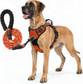 No Pull Dog Harness and Leash Set for Extra Large Dogs – Adjustable Reflective Breathable Soft Padded Easy Control Dog Harness for Training & Walking, Orange (X-Large)