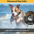 Educator 1/2 Mile Remote Dog Training System Plus E-Collar 101 Training DVD, Safe Humane Stimulation, Pavlovian Tone, Waterproof, Odorproof Biothane Collar, Night Light, Rechargeable, 1 Dog, Zen