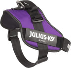 Julius-K9 IDC Powerharness, Size: 2XL/3, Dark Purple