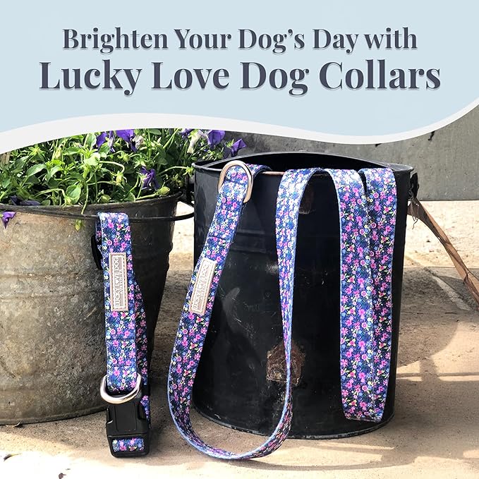 Lucky Love Dog Wide Dog Collar - Adjustable, Durable, Soft Webbing, & Comfortable 1.5 inch Wide Collar for Dogs Male and Female with Strong Buckle - Primrose, Medium