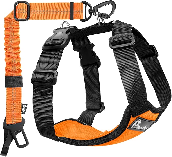 Pawaboo Dog Seat Belt Harness for Car, Dog Car Harness Seatbelt with Double Clips, Adjustable Breathable Pet Vest & Dogs Safety Tether with Elastic Bungee for Small Medium Large Pet, M, Orange/Black