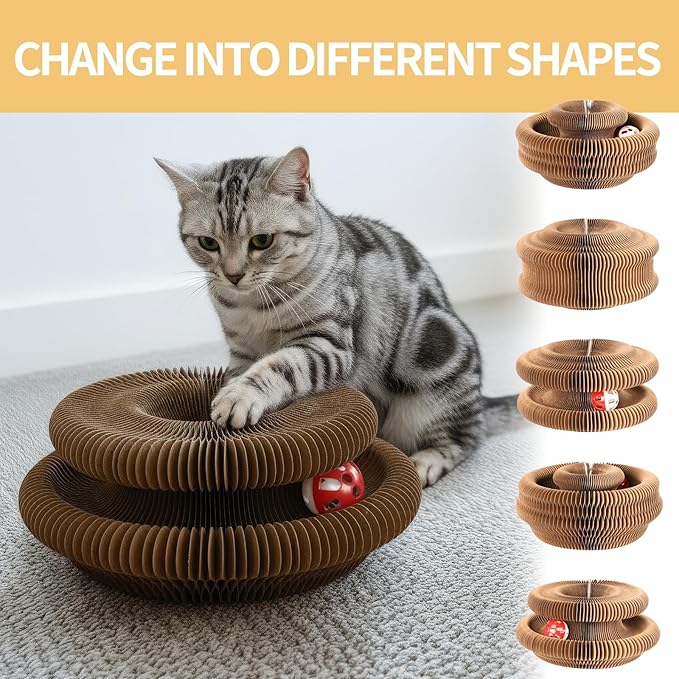 Magic Organ Cat Scratcher Board, Cat Ball Adventure The Ultimate Interactive Mental Physical Exercise for Indoor Cats Toy 2026