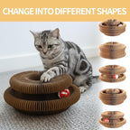Magic Organ Cat Scratcher Board, Cat Ball Adventure The Ultimate Interactive Mental Physical Exercise for Indoor Cats Toy 2026