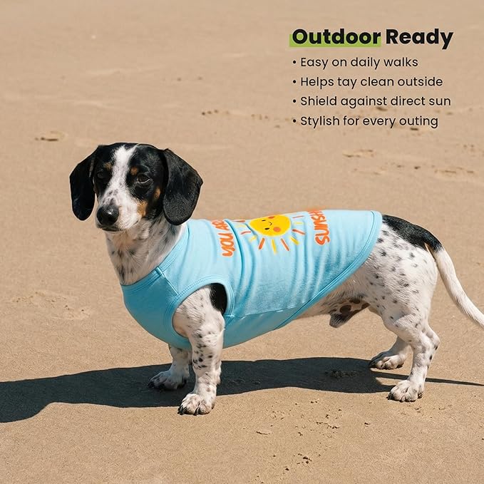 Fitwarm You are My Sunshine Dog Shirt, Tropical Summer Clothes for Small Dogs Boy Girl, Funny Pet Outfit, Blue, Yellow, XS