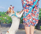Reflective Slip Dog Collar, Loop Dog Collar with Soft Padded Training -Suitable for Dog Weight 20-38 lbs (5/8" W x 15.5" L, Teal)
