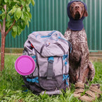 Loving Pets Bella Roma Collapsible Dog Bowls - Silicone Dog Bowls, Foldable Bowl, Puppy Essentials & Hiking Pet Supplies Great for Home & Travel (Pink, Small)