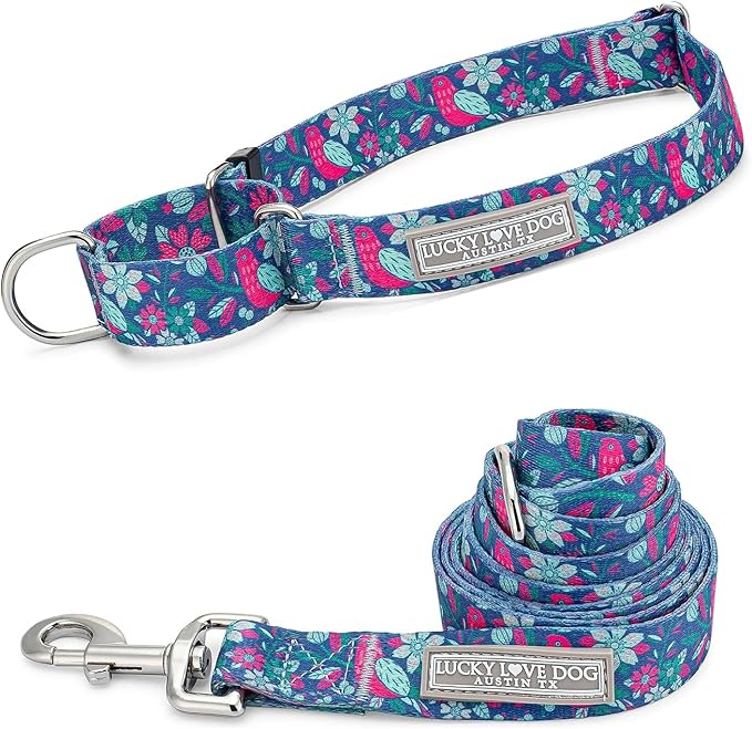 Lucky Love Dog - Easy Click Buckle Dog Collar with Leash Set Combo, Durable & Comfortable for Male & Female Dogs, Pet Collar for Small Dogs, Secure Fit - Carriebelle Combo, Small