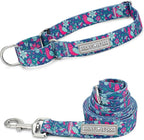 Lucky Love Dog - Easy Click Buckle Dog Collar with Leash Set Combo, Durable & Comfortable for Male & Female Dogs, Pet Collar for Large Dogs, Secure Fit - Carriebelle Combo, Large