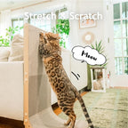 Necoichi Cardboard Cat Scratcher Wall for Indoor Cats - Cat Scratching Board, Cat Scratch Pad Lounger with Reversible Usability and Extra Comfort for Lounge, Curved (Oak, Large)