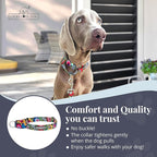 Lucky Love Dog Martingale Dog Collar - Adjustable, No-Slip, Durable, & Soft Webbing Collar for Male and Female Dogs Ideal for Training & Walking - Blackbird, Medium